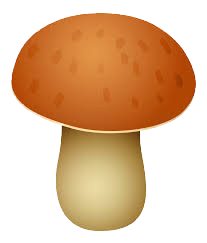 Amount of Champignons